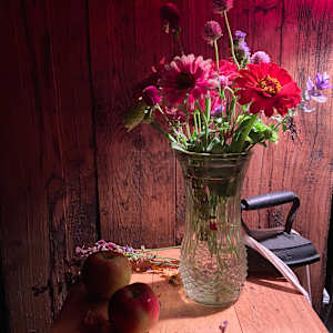 Still life photo batch 1 by Alice Eckles  Image: 21