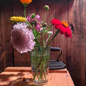 Still life photo batch 1 by Alice Eckles  Image: 12
