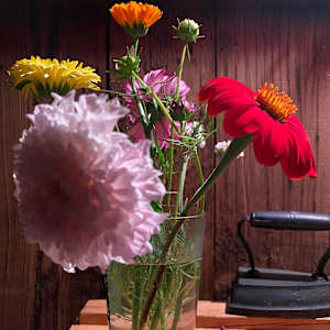 Still life photo batch 1 by Alice Eckles  Image: 19