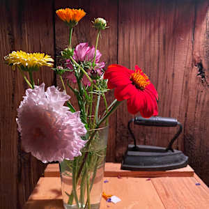 Still life photo batch 1 by Alice Eckles  Image: 13