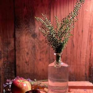 Still life photo batch 1 by Alice Eckles  Image: 25