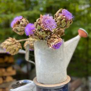 Still life photo batch 1 by Alice Eckles  Image: 26