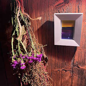 Still life photo batch 1 by Alice Eckles  Image: 14