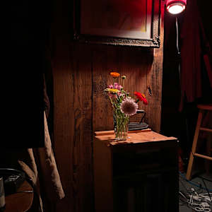Still life photo batch 1 by Alice Eckles  Image: 20