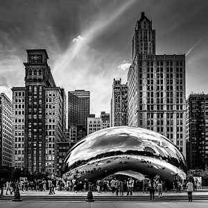 The Bean by Jerry Granaman