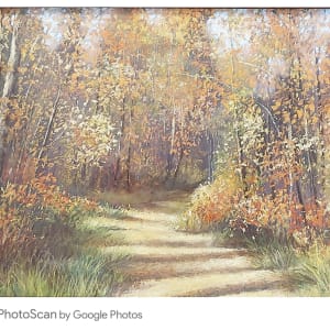 Lacey Trail by Carol Gunn