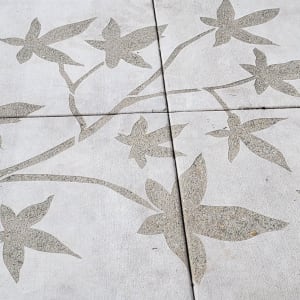 The Sky Above and Below by Vanessa Marsh 