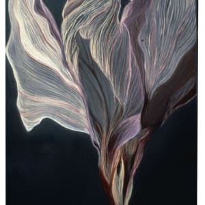 Transfiguration of a Hollyhock by Allegra Printz