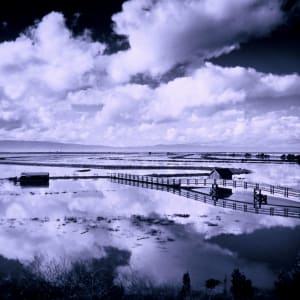 Flood Tide by Alvin Dockter