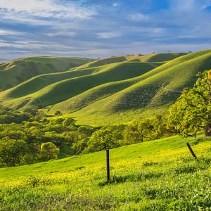 Sunset Light on Oaks and Green Hills, Lake Del Valle Regional Park, Alameda County, California by Rob Badger