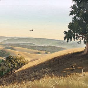 The Hayward Hills by David Hardy