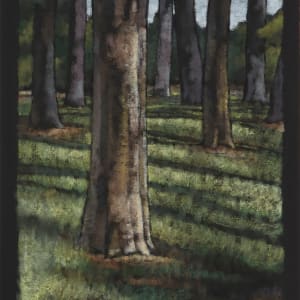 In the Forest by Jean Sanchirico