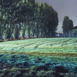 Tracks in Field by John Vias