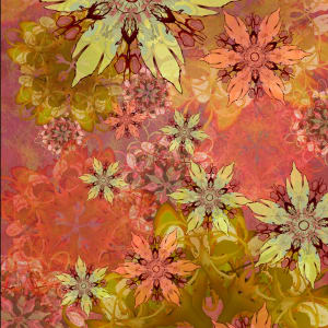Morning Star Bouquet by Kristin Doner