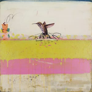 Allen's Hummingbird by Michael Cutlip