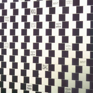 Wall of Perception by Mildred Howard, Johanna Poethig 