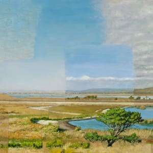 Coyote Hills by Ryan M. Reynolds
