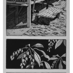 In the Shade by Shari Arai DeBoer