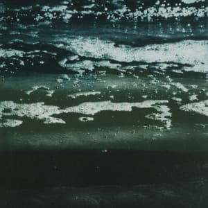 Limantour Beach 3 by Alice M. Stern