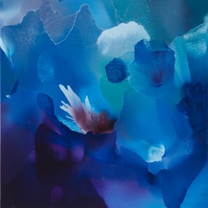 Cymbidium by Usha Shukla