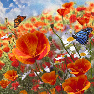 Butterflies Enjoying Poppies on a Spring Day #1 by Yan Inlow