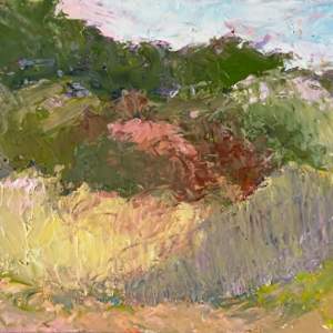 Jewels in the Dunes -$250 by Susan Barocas