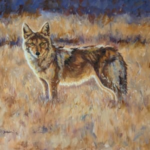 Winter Coyote by Karine Swenson 