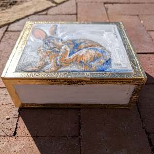 Itching (cottontail rabbit) by Karine Swenson  Image: Top and front