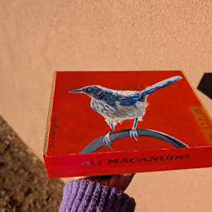Blue Jay by Karine Swenson  Image: top and front of box