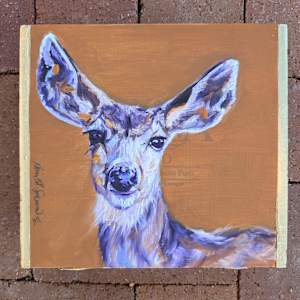 Mule Deer by Karine Swenson
