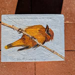Little Bandit by Karine Swenson 