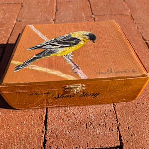 Lesser Goldfinch by Karine Swenson  Image: Top and Front