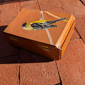 Lesser Goldfinch by Karine Swenson  Image: back of box with hinges
