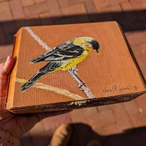 Lesser Goldfinch by Karine Swenson 