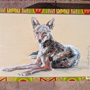 Resting Coyote by Karine Swenson, Image 1.