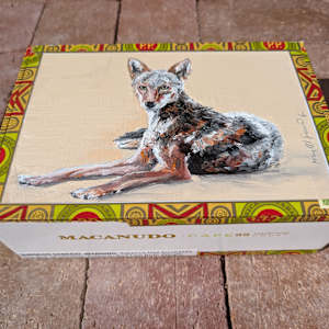 Resting Coyote by Karine Swenson, Image 6.