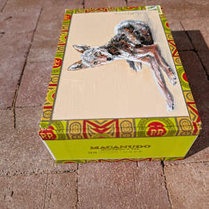 Resting Coyote by Karine Swenson, Image 4.