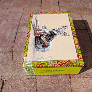 Resting Coyote by Karine Swenson, Image 2.