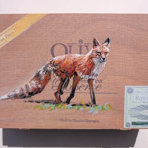 Oliva Fox by Karine Swenson, Image 1.