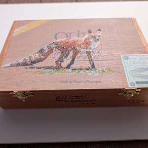 Oliva Fox by Karine Swenson, Image 3.