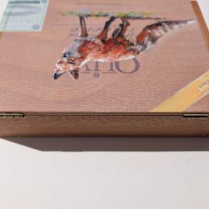 Oliva Fox by Karine Swenson, Image 5.