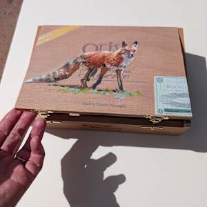 Oliva Fox by Karine Swenson, Image 4.