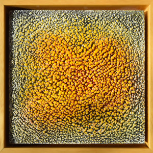 Lichen by Karine Swenson  Image: framed