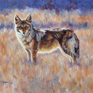 Winter Coyote by Karine Swenson 
