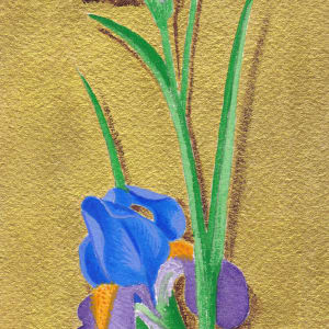 Les Iris (Irises) by Nancy Cahuzac