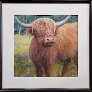 Colonel Coo by Dale Cook  Image: Colonel Coo framed, Pastel