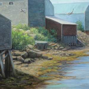 Afternoon Light by Dale Cook