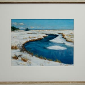 St. Martins Marsh in Winter by Dale Cook 