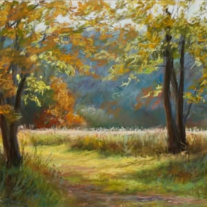 The Velvet Path by Dale Cook