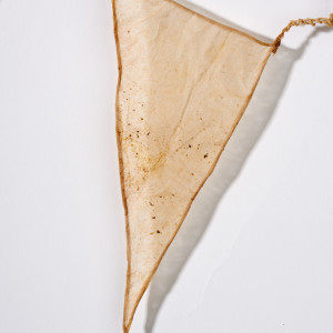 Frippery by Deborah Benioff Friedman 
